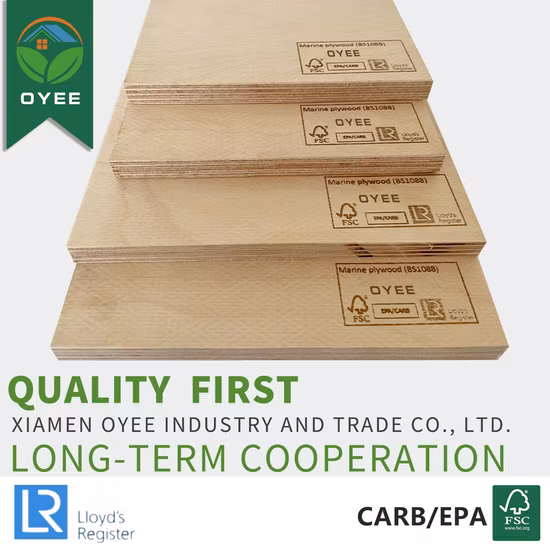 Baltic Birch Plywood Veneer Wood Sheet Birch Wood Ply Plywoods Melamine Laminated Plywood for Cabinets